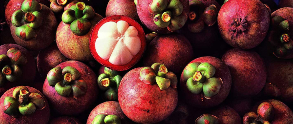 exotic-fruits-banner