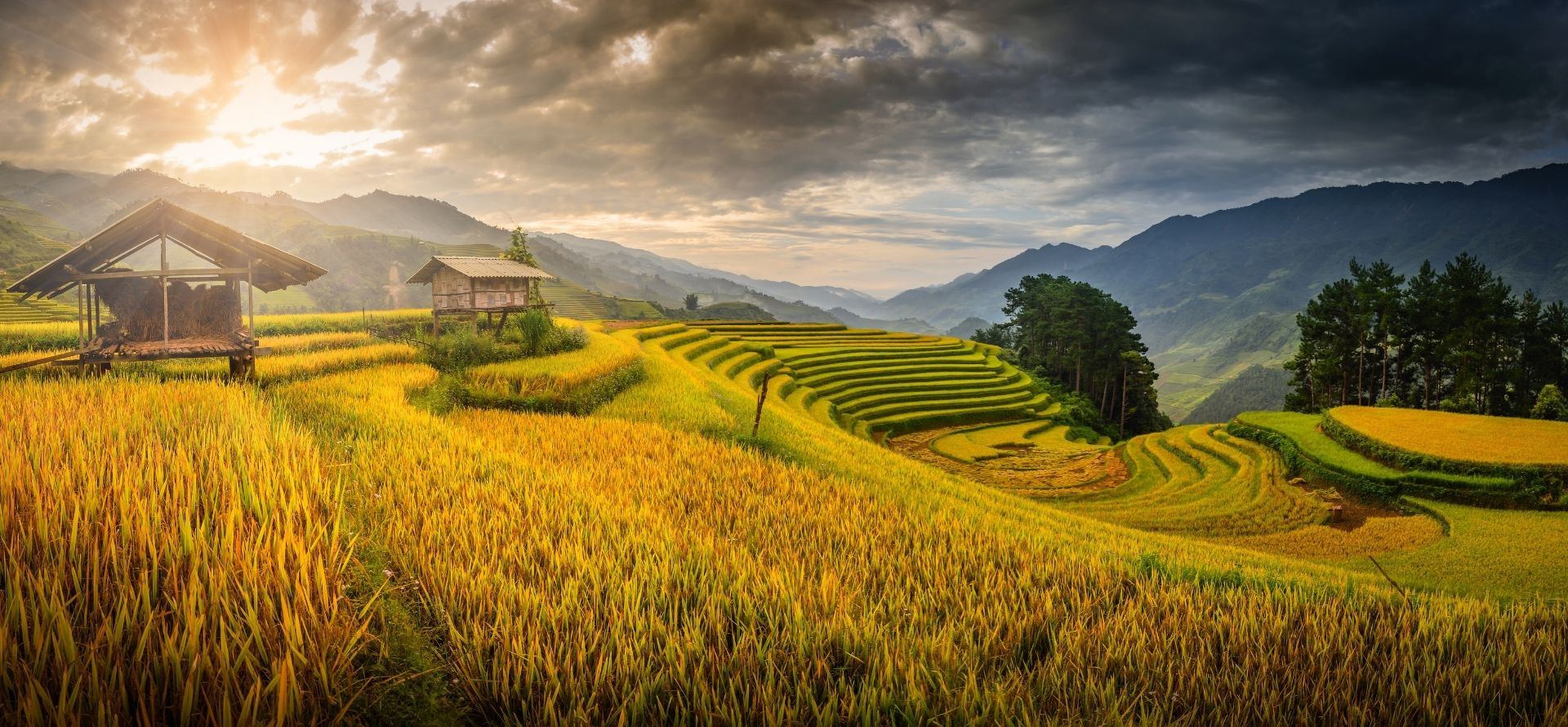 vietnam-travel-banner