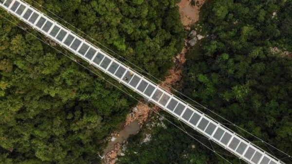 bach-long-grassbridge
