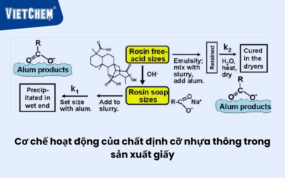 nhua-thong-3