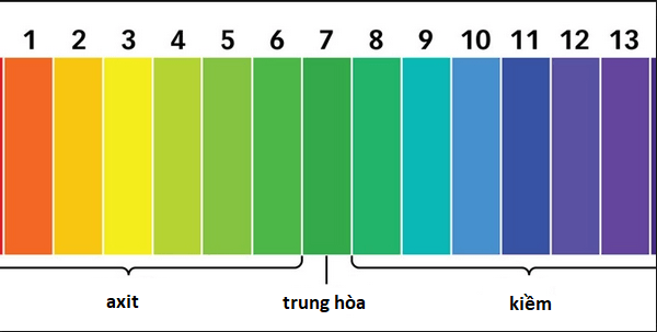 Axit axetic làm quỳ tím đổi màu thành đỏ
