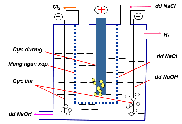 khi-clo-hoa-long-6