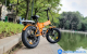 Xe Đạp Điện Trợ Lực ENGWE EP-2 Pro