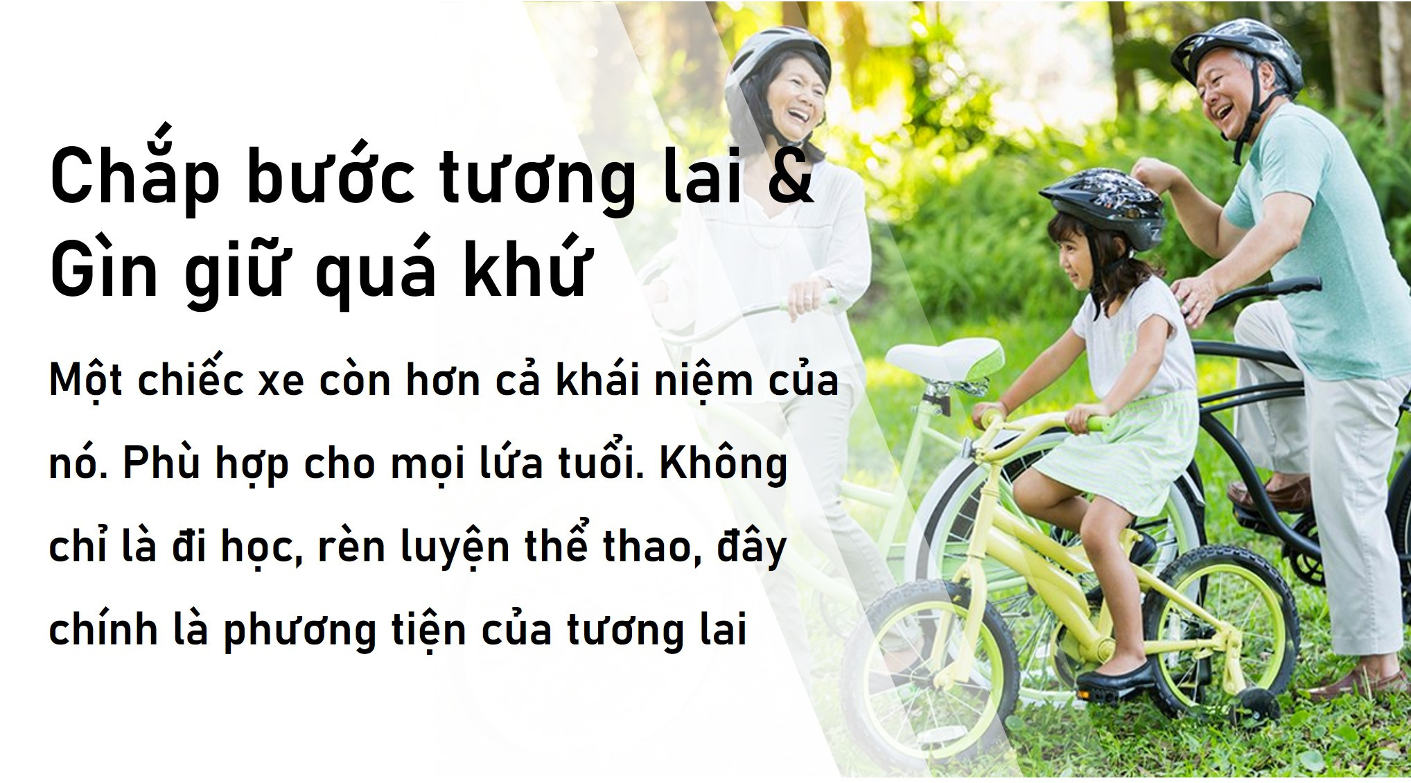 xe-dap-dien-tro-luc-engwe-c20-pro