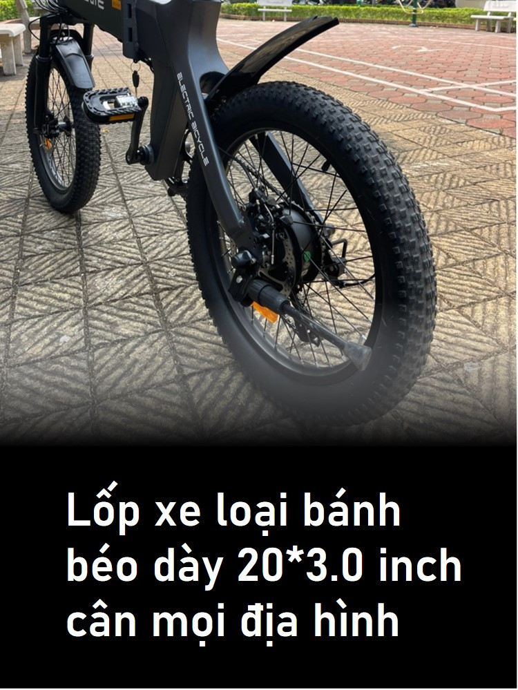mô tả c20