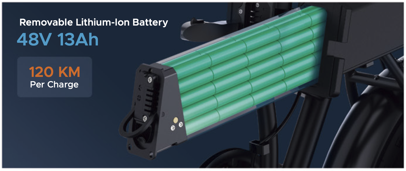 pin lithium ion