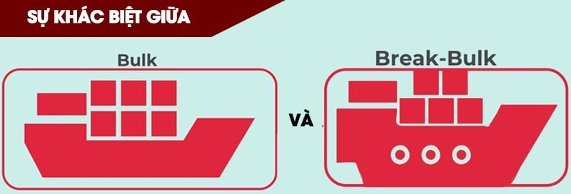 Break Bulk Là Gì Trong Logistics? Phân biệt Bulk và Break Bulk